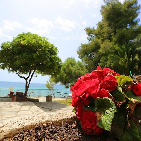 Maison La Mer Agia Paraskevi  Exteriér fotografie